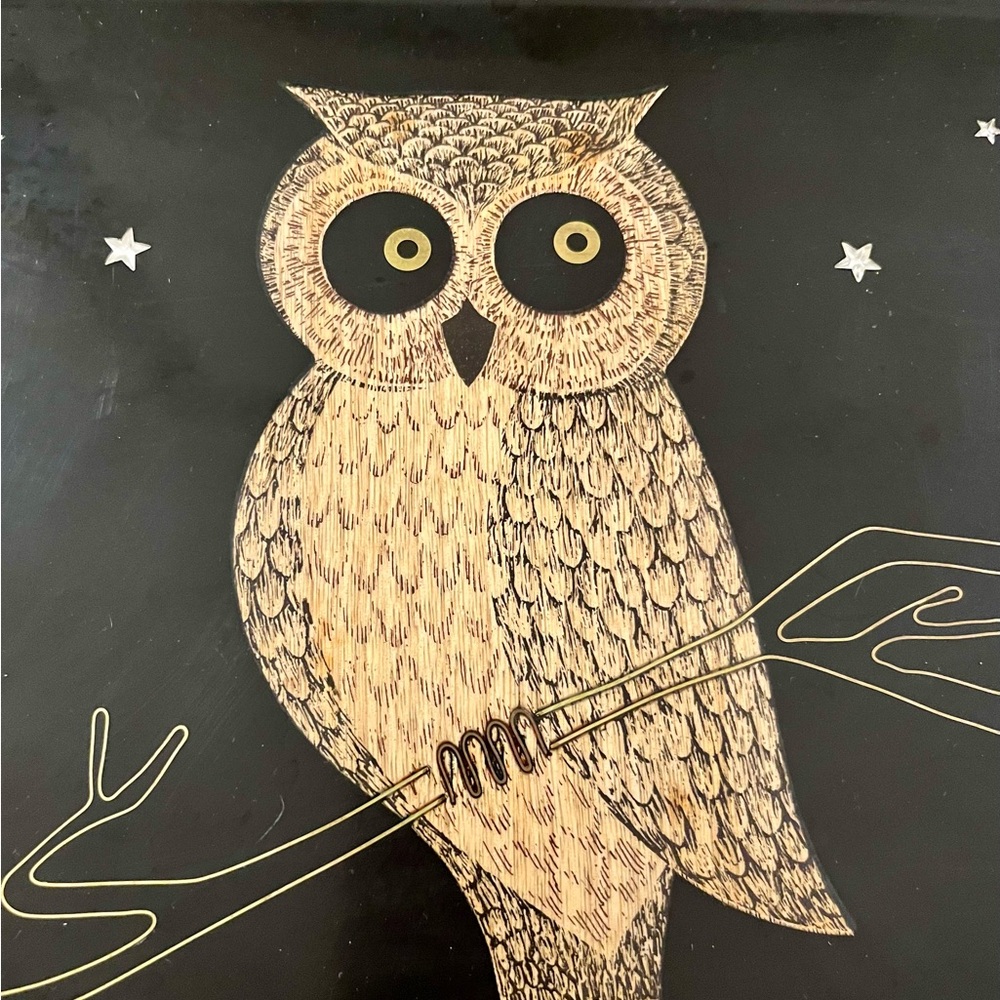Owl Art Print on Black Background